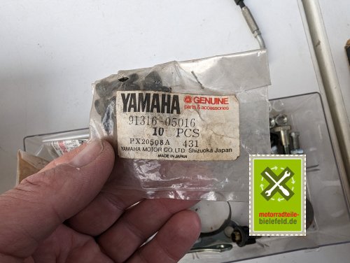 PXL_20240528_170904609